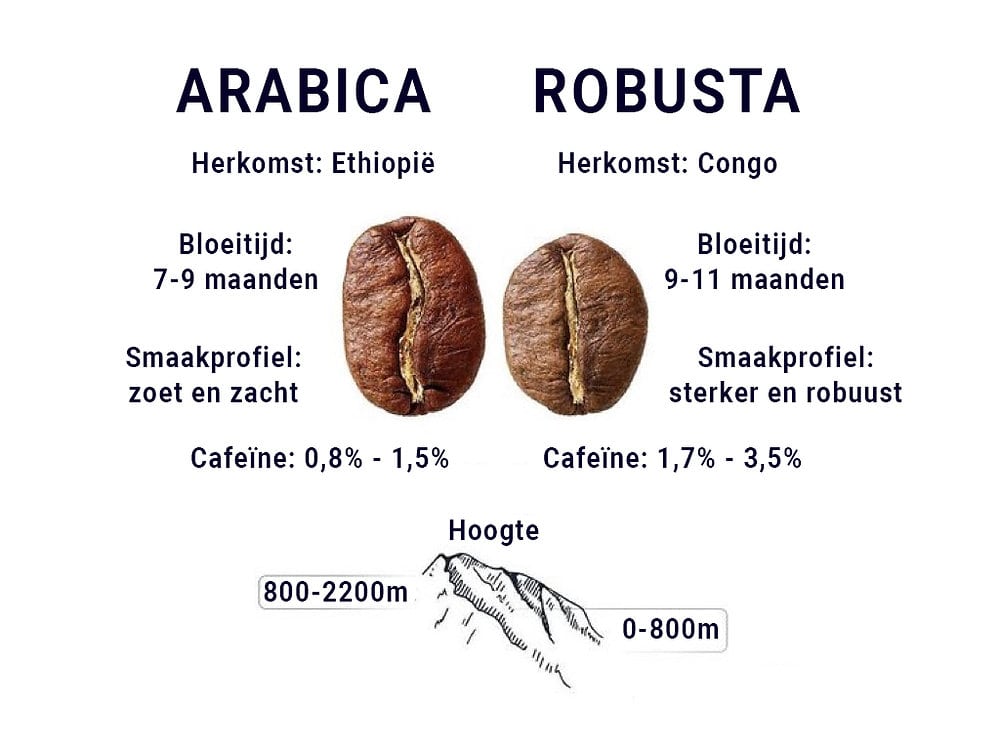 Koffiebonen: Arabica vs Robusta - De Ultieme Vergelijking