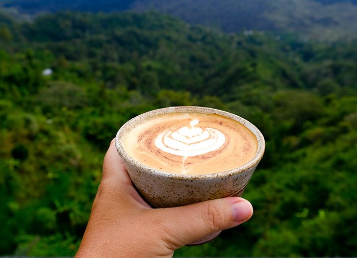 Waarom Kiezen voor Biologische Koffie? Gezond, Duurzaam & Heerlijk