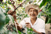 Waarom Biologische Koffie Duurzamer is voor Mens en Milieu